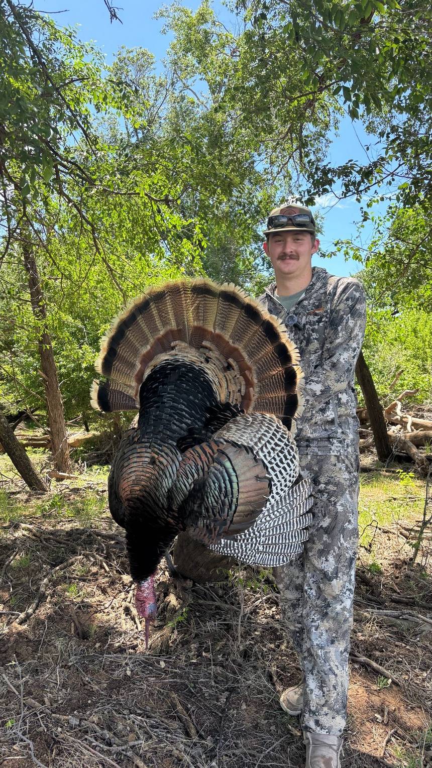 Rio Grande turkey hunt with Bitter Creek Outfitters in southwest Oklahoma