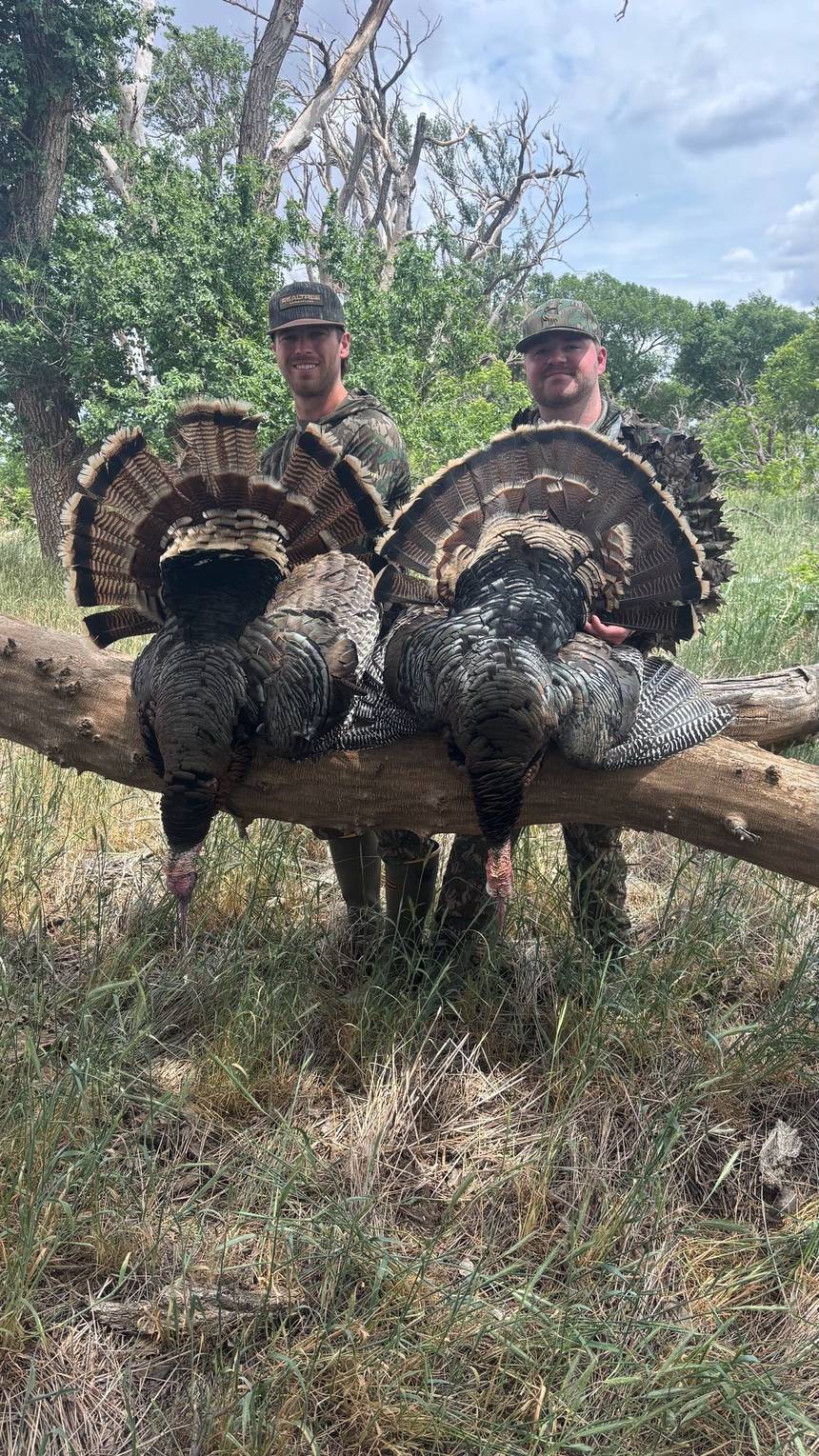 Rio Grande turkey hunt with Bitter Creek Outfitters in southwest Oklahoma